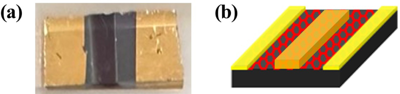 Fig. 6.