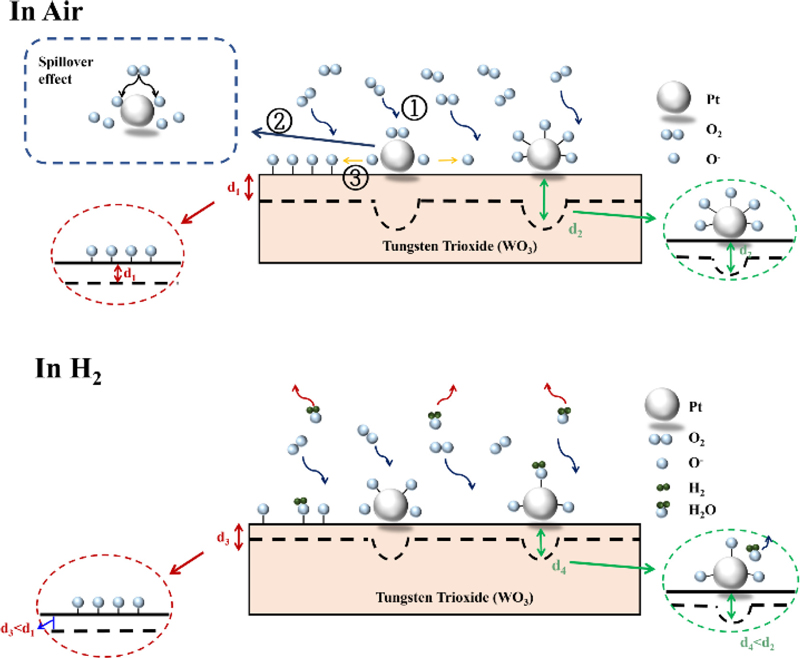 Fig. 7.