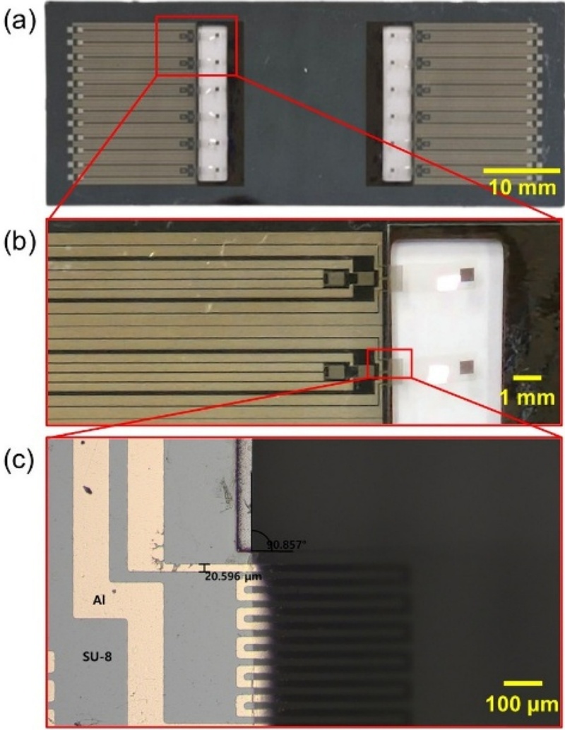 Fig. 3.