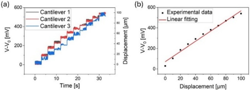 Fig. 6.
