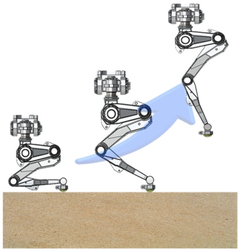 Fig. 1.