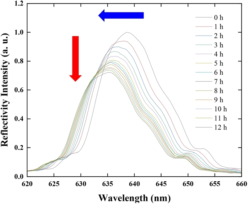 Fig. 4. Fig. 4.