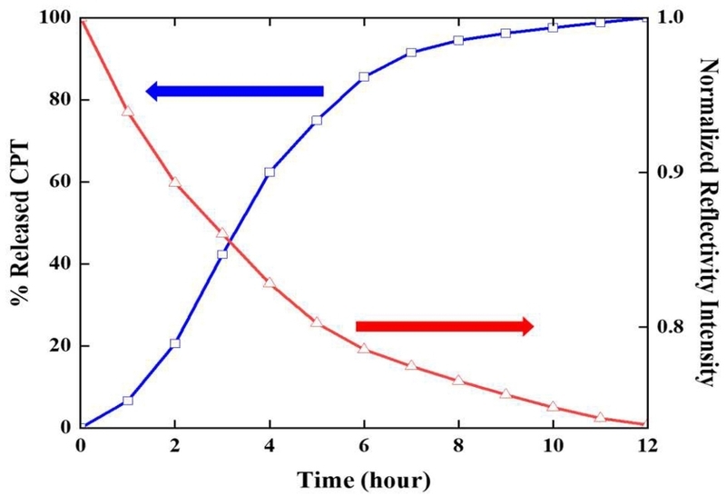 Fig. 6. 