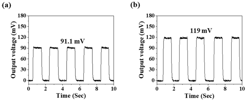 Fig. 5. 