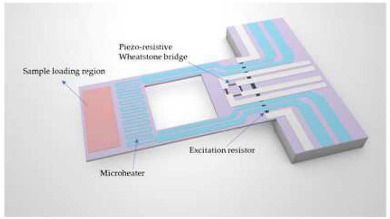 Fig. 3. 